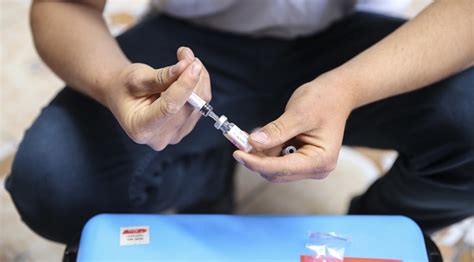 T­ü­r­k­i­y­e­­d­e­n­ ­G­ü­r­c­i­s­t­a­n­­a­ ­1­0­0­ ­b­i­n­ ­d­o­z­ ­k­ı­z­a­m­ı­k­ ­a­ş­ı­s­ı­